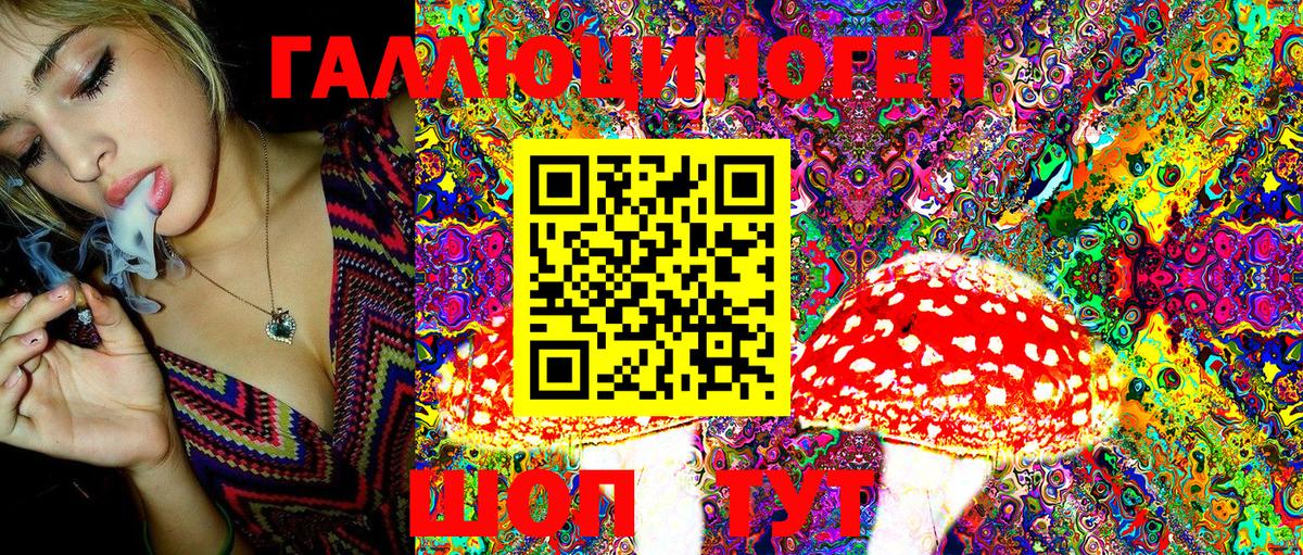 Галлюциногенные грибы Psilocybine cubensis Новокубанск