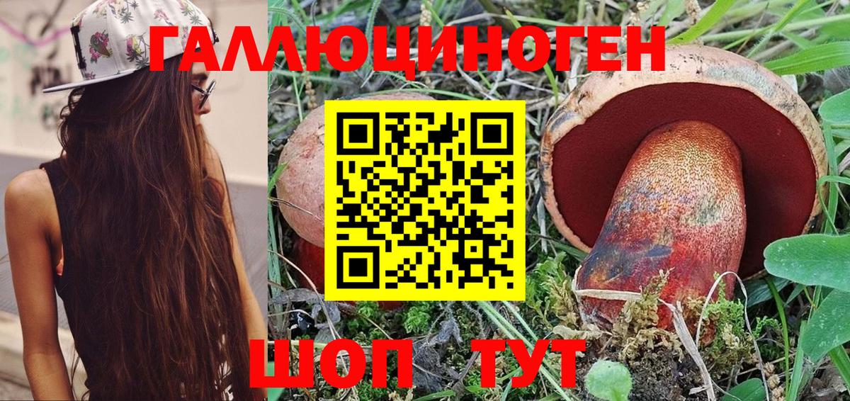 Галлюциногенные грибы Cubensis  Вход с VPN  Галлюциногенные грибы Psilocybe  Новокубанск 
